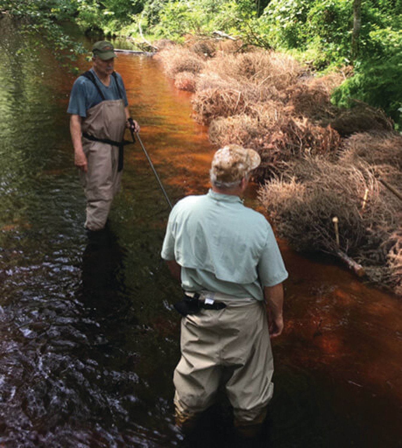 CONTROL THE FLOW: Trout Unlimited volunteers assess their work, the placement of Christmas trees in a river to control water flow and river bank instability.